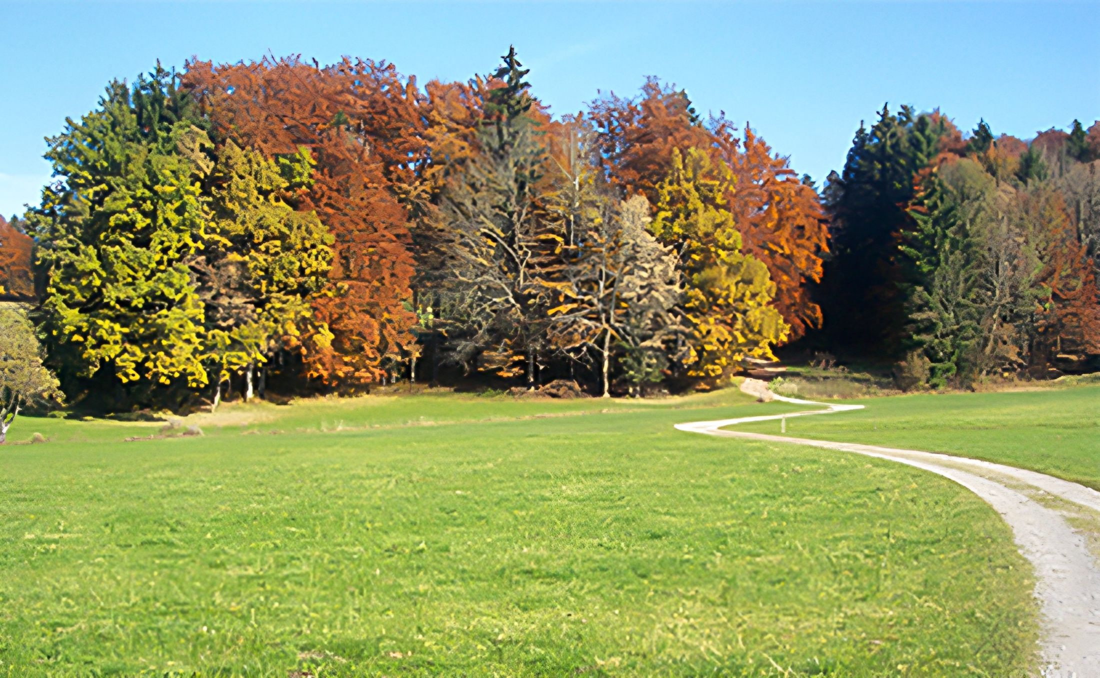 Ein Kiesweg schlängelt sich über eine grüne Wiese auf einen Mischwald in Gelb, Orange und Rot zu, darüber blauer Himmel