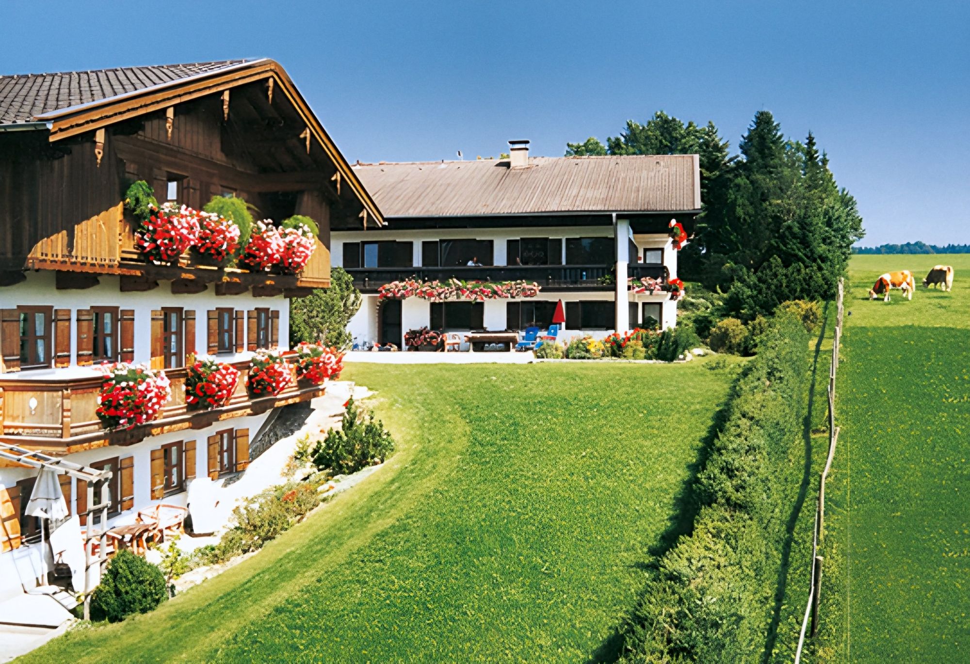 Vorne das Hofgebäude mit roten Geranien an den Holzbalkonen, dahinter das weiße Ferienhaus, rechts die Weide mit Kühen