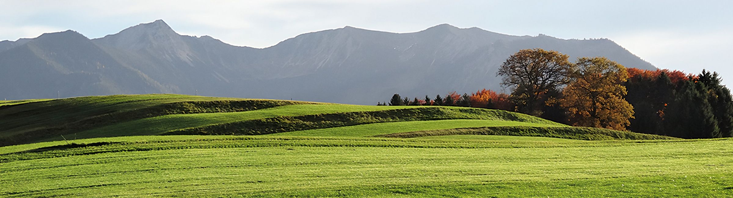 Panorama: sanft gewellte grüne Wiesen, rechts Bäume in Herbstfarben, dahinter eine graue Bergkette im Dunst