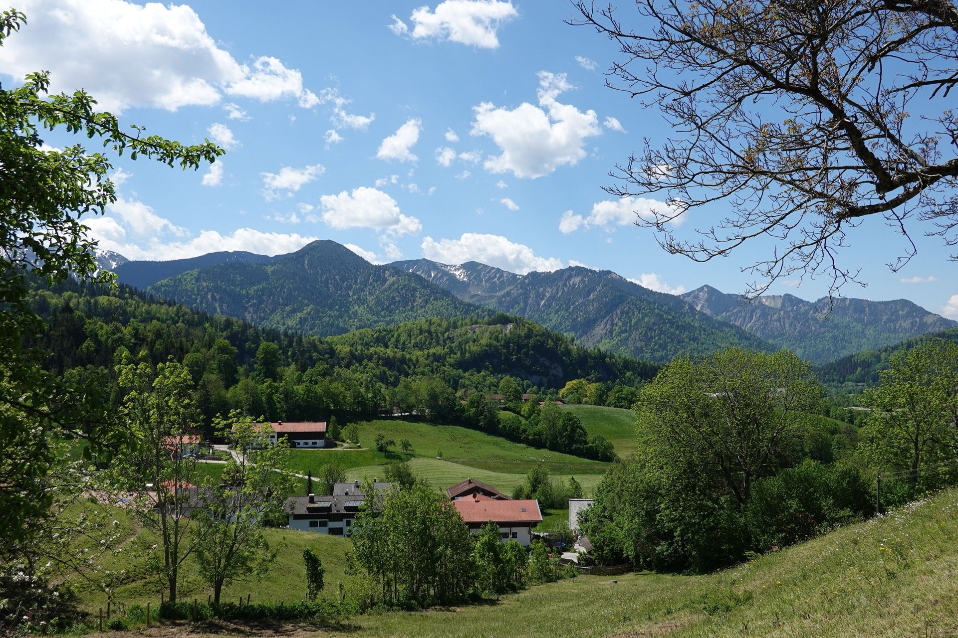 Blick über ein Tal mit verstreuten Höfen und Wiesen auf die Voralpenkette, eingerahmt von Ästen