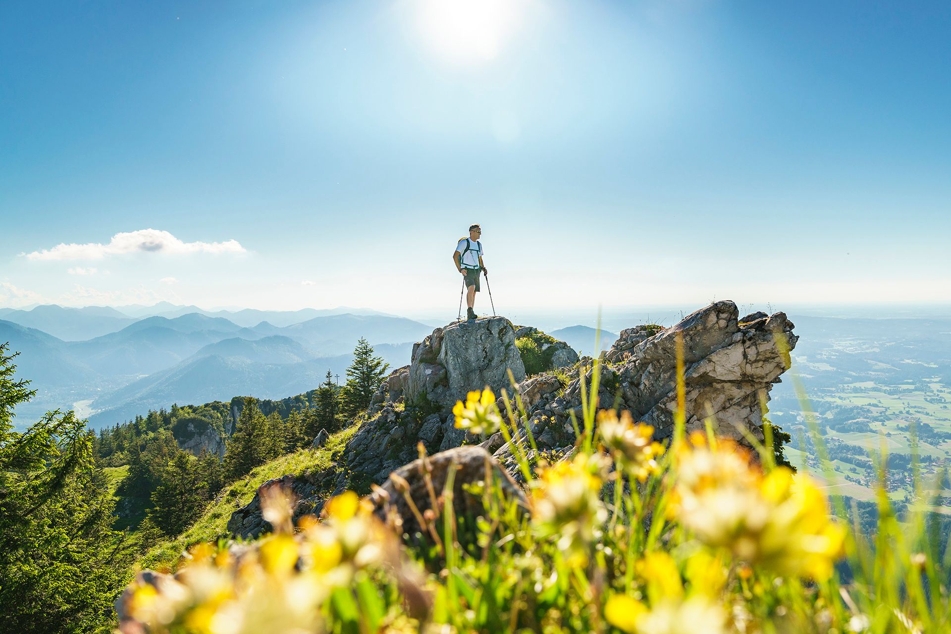 Ein Wanderer mit Rucksack und Stöcken steht auf einem Felskopf, vorne gelbe Bergblumen, links Bergketten im Dunst und rechts der Blick hinunter ins flache Land, darüber die Sonne