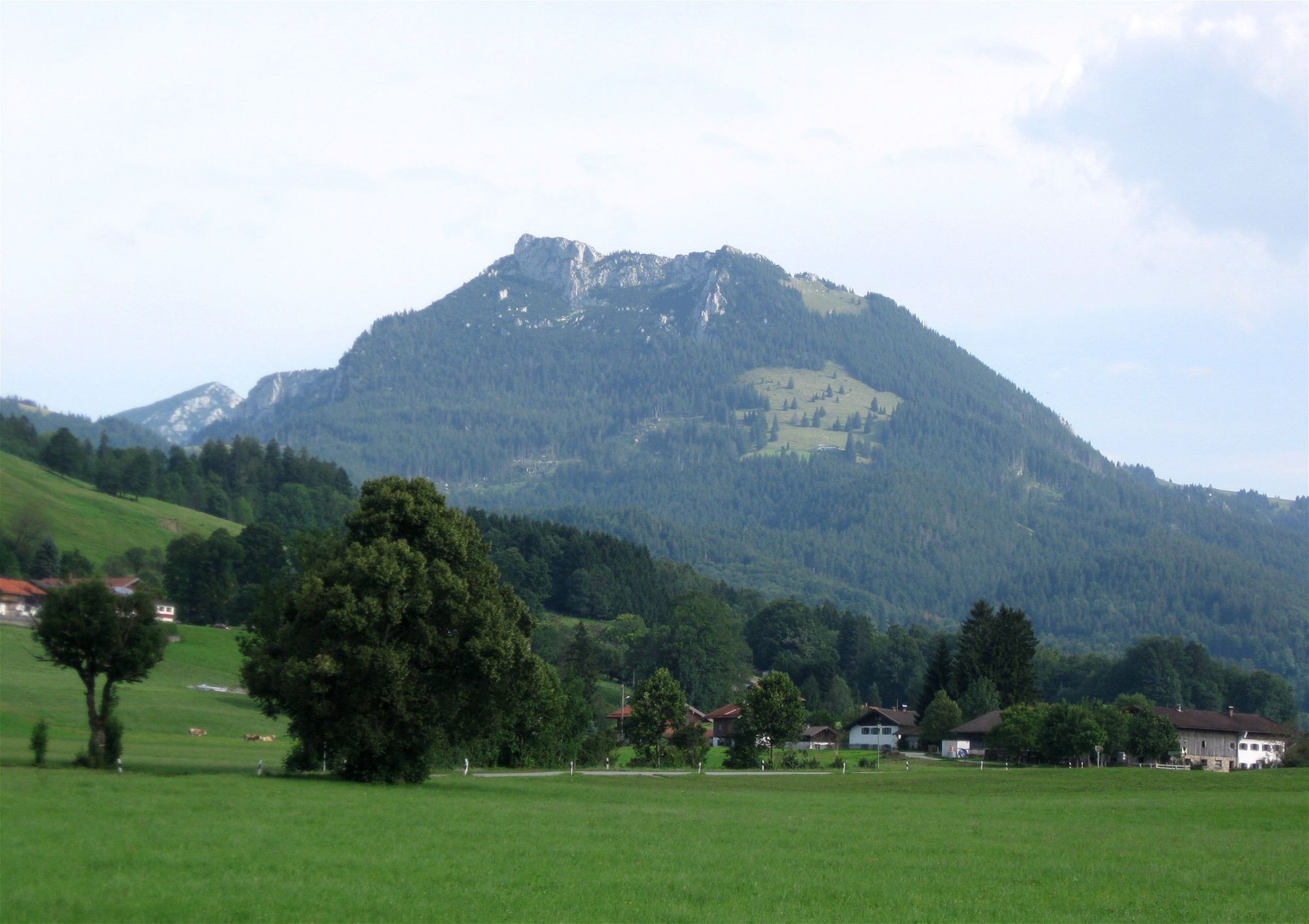 Grüne Wiesen bei Hundham mit einzelnen Bäumen und Höfen, dahinter der Breitenstein mit Wald und Felsgipfel