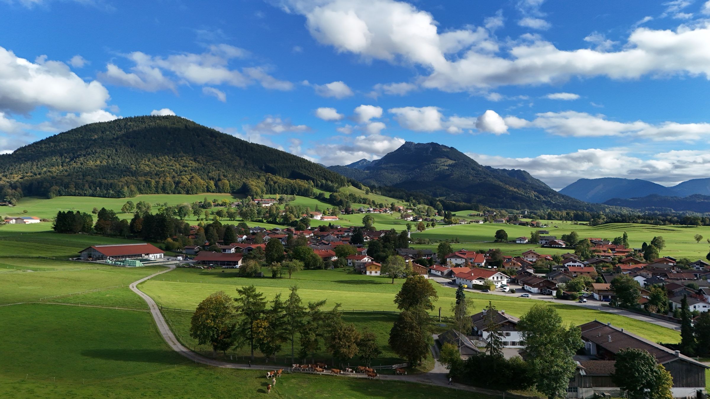 Kühe auf dem Feldweg und Höfe im Vordergrund, dahinter die Häuser von Hundham und ein runder, bewaldeter Berg