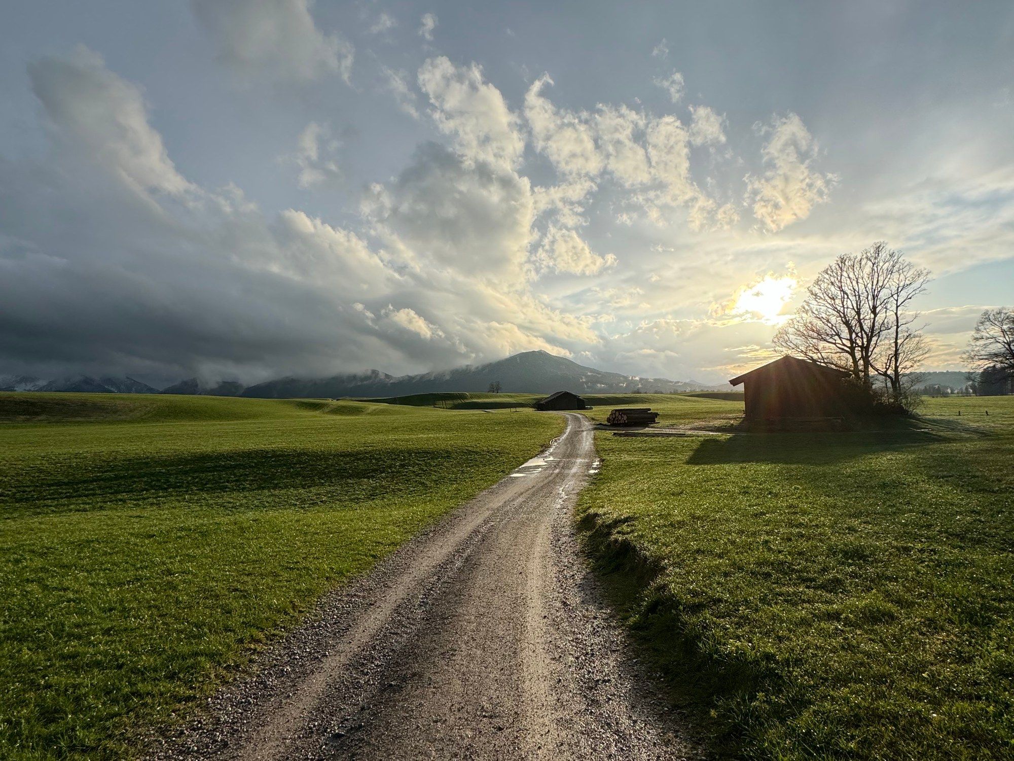 Ein Feldweg aus Kies führt durch grüne Wiesen, rechts eine Holzhütte und ein kahler Baum, darüber Wolken, durch die die Sonne scheint, am Horizont Berge