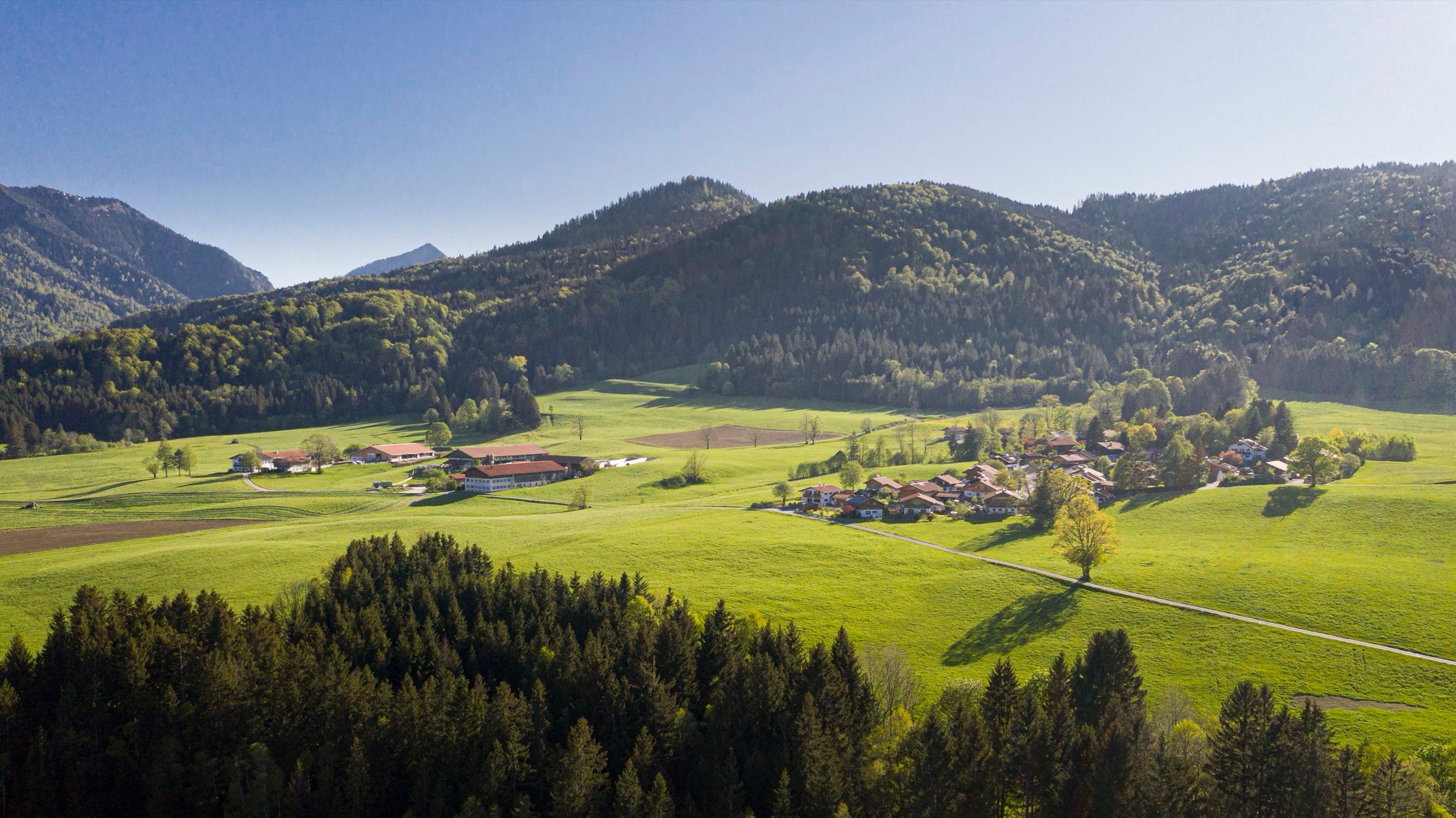 Weites grünes Tal mit Wiesen und Höfen, im Vordergrund Wald, hinten bewaldete Berge