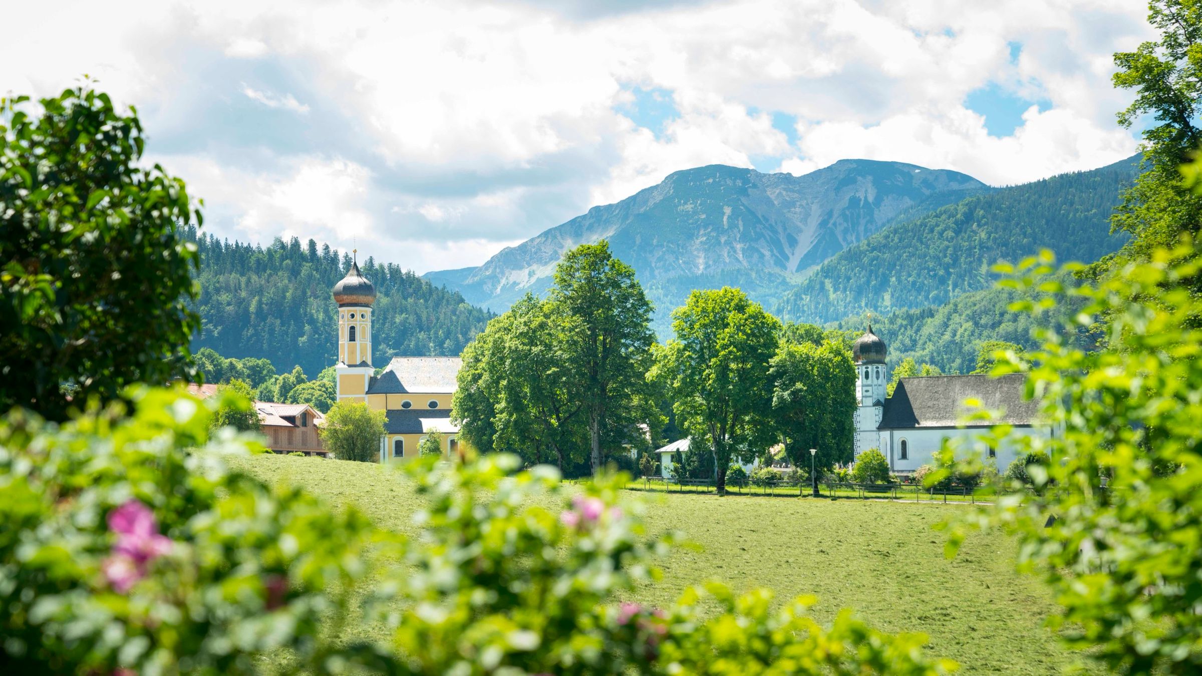 Zwei Kirchtürme zwischen Bäumen, vorne blühende Sträucher, dahinter Berge und Wolken
