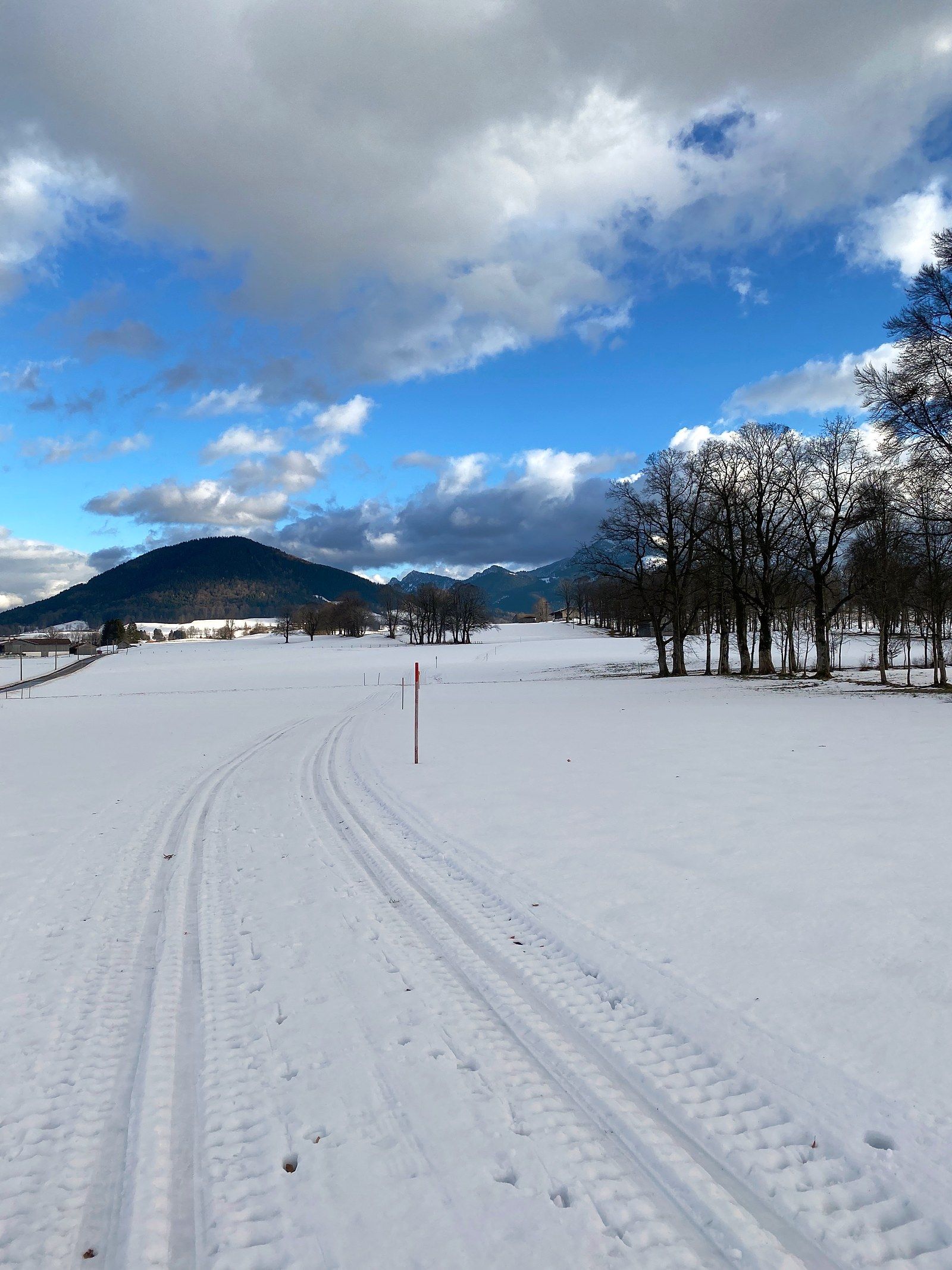 A freshly groomed cross-country ski trail across the snowy meadow, a marker pole beside it, bare trees, a wooded mountain and clouds behind