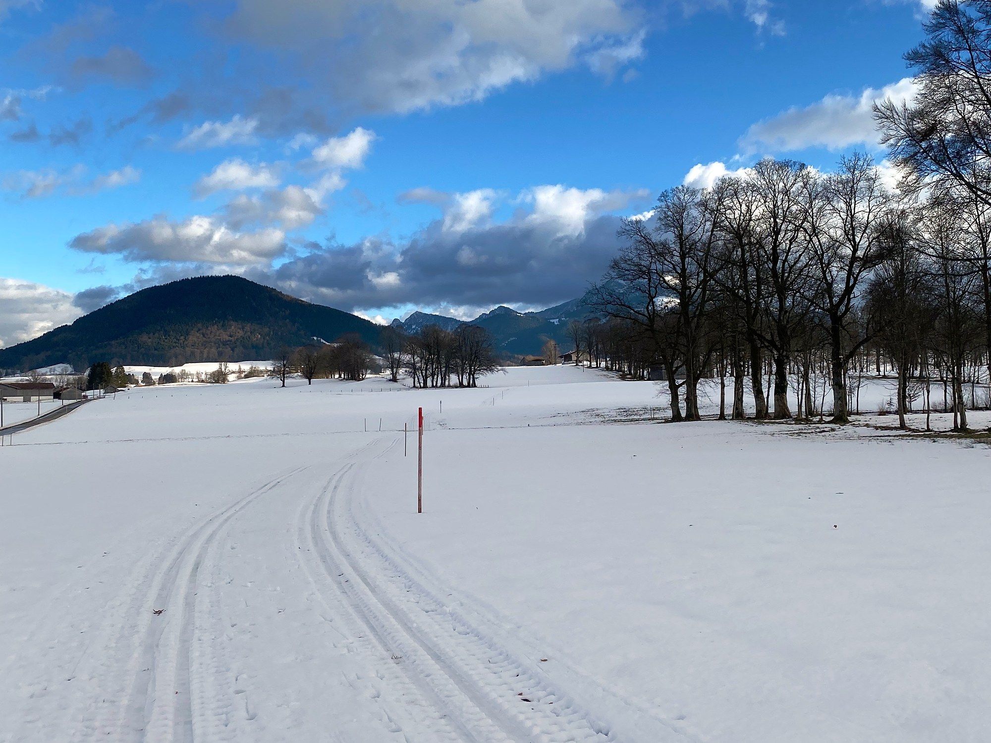 Zwei gespurte Langlaufspuren führen über die verschneite Wiese, daneben eine rot-weiße Markierungsstange, dahinter kahle Bäume, ein bewaldeter Berg und Wolken am blauen Himmel