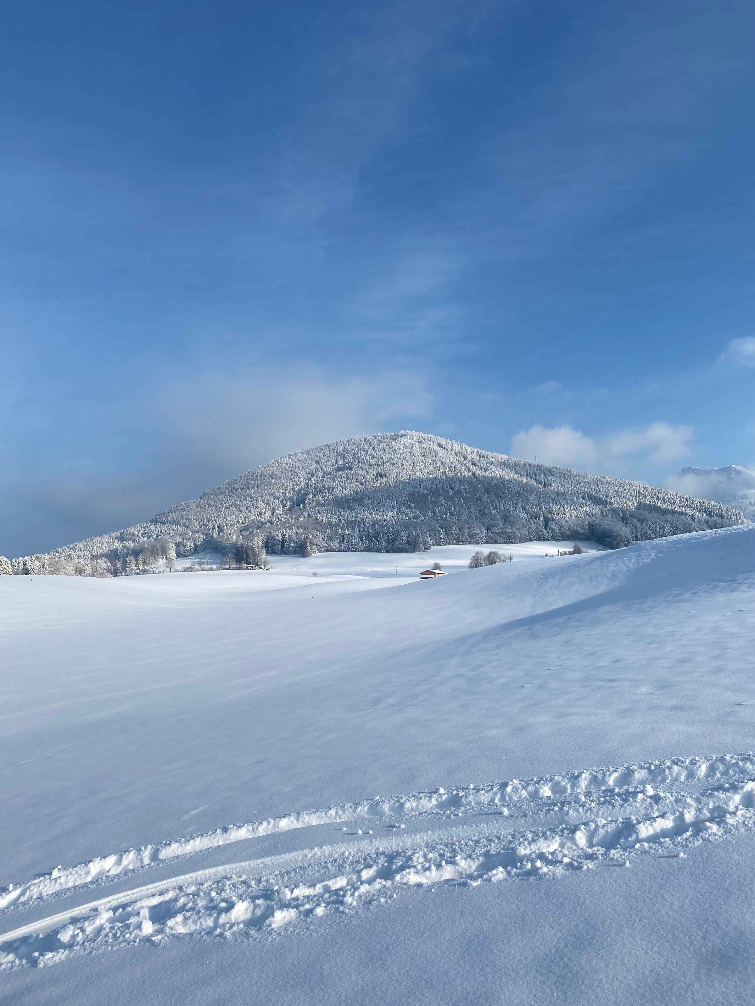 Verschneite Wiesen vor einem tief verschneiten Waldhügel unter blauem Himmel mit Wolken, vorne eine frische Skispur