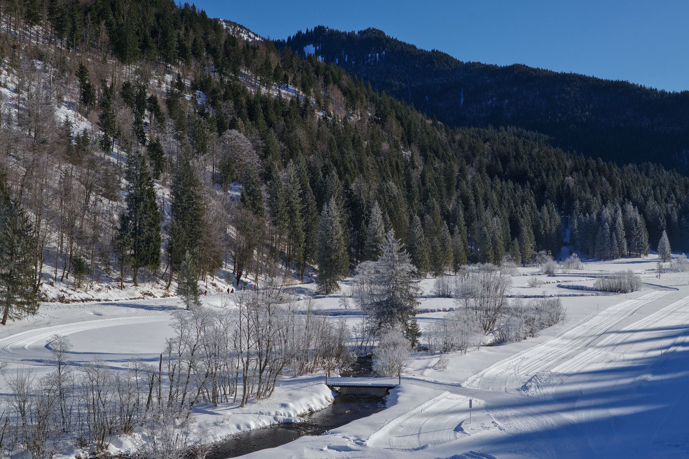 Ein Bach schlängelt sich durch eine verschneite Talwiese mit Loipe, Bäume mit Raureif, dahinter Bergwald