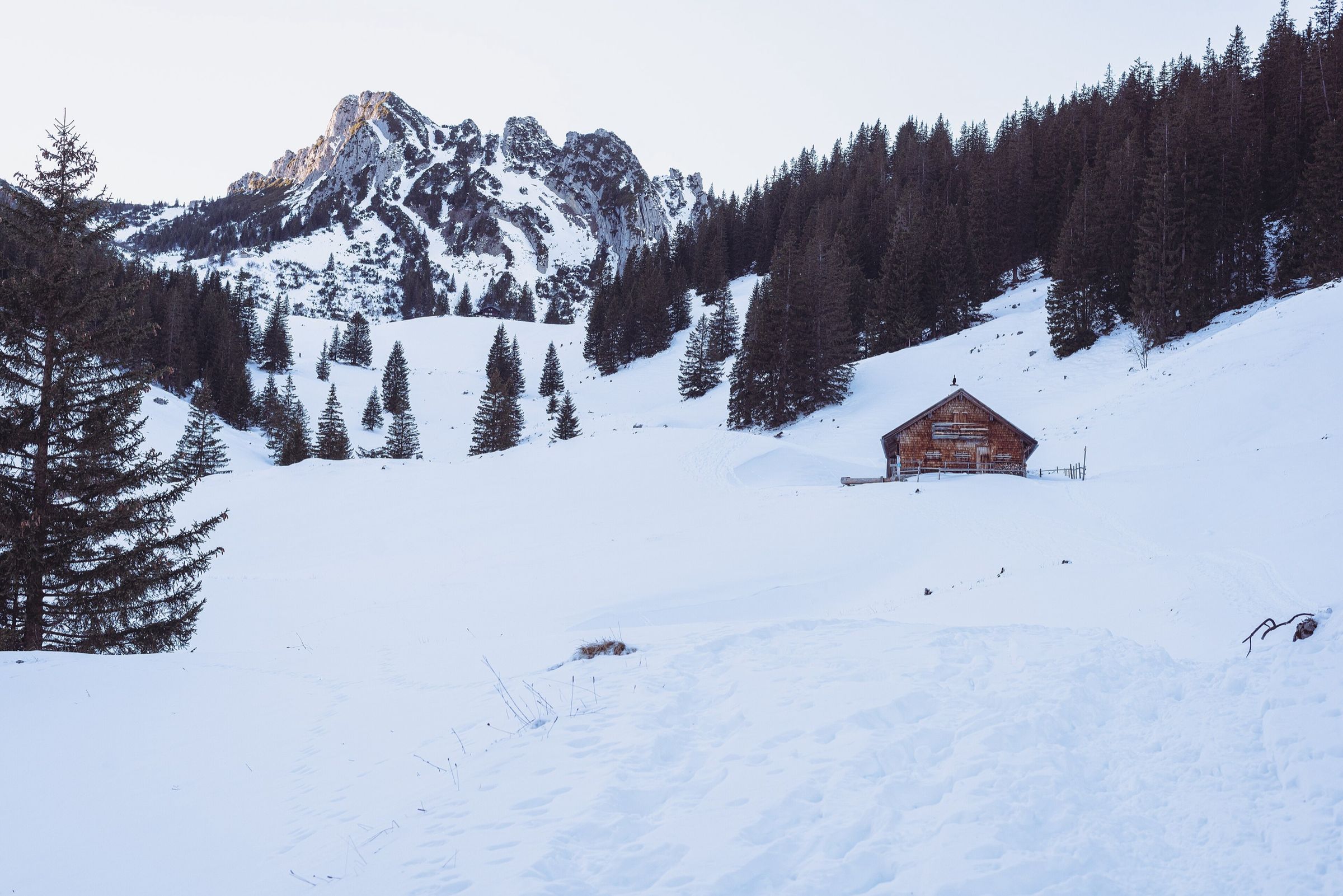 Eine Almhütte im tiefen Schnee, dahinter Fichtenwald und ein verschneiter Felsgipfel