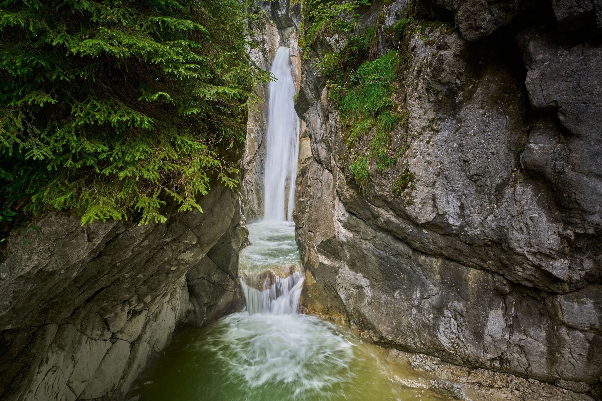 Ein Wasserfall stürzt in einer engen Kalkschlucht in ein grünes Becken, links hängen Fichtenzweige über den Fels