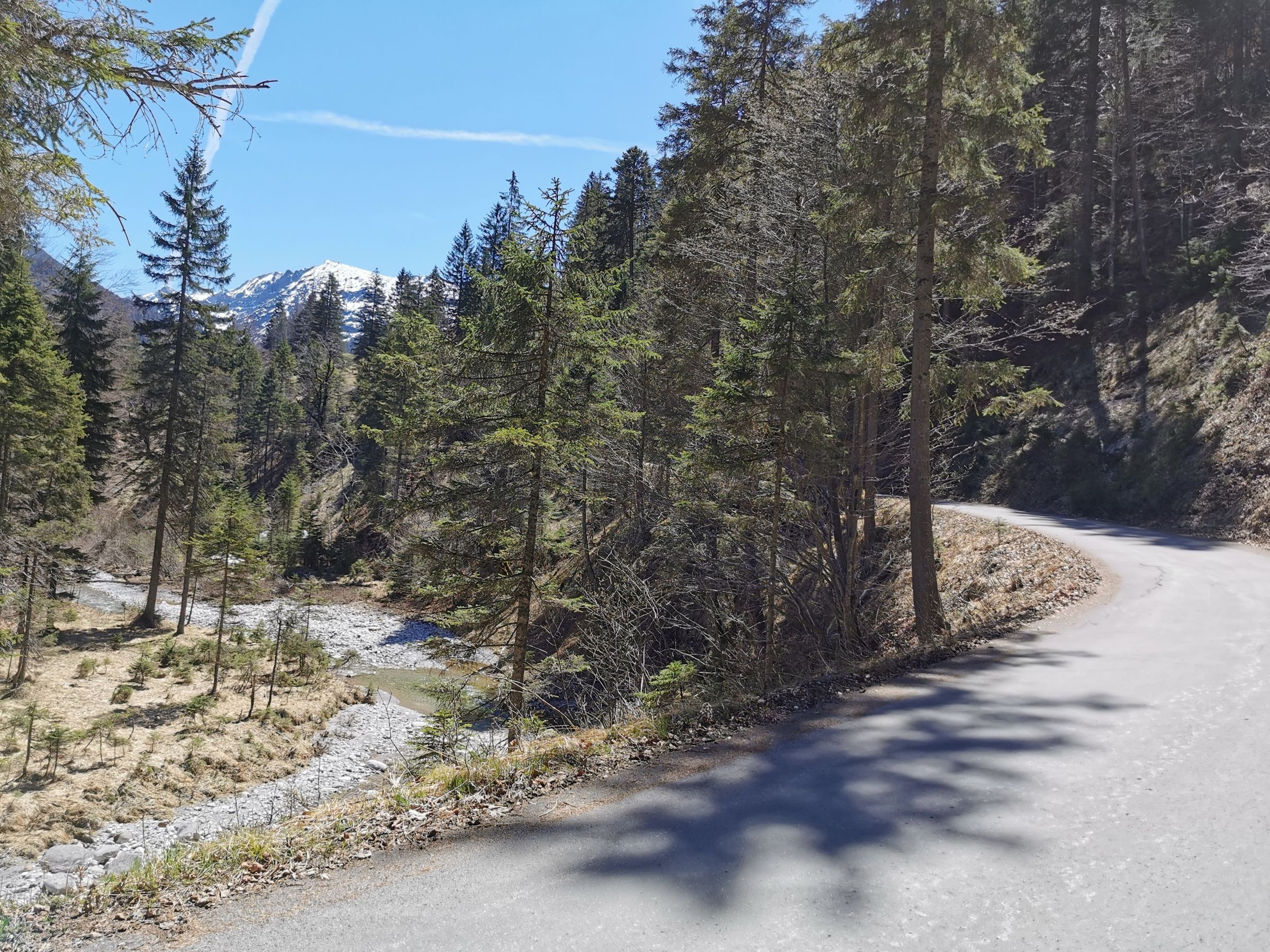 Schmale Straße entlang eines Gebirgsbachs mit Kiesbett durch lichten Bergwald, hinten ein verschneiter Gipfel