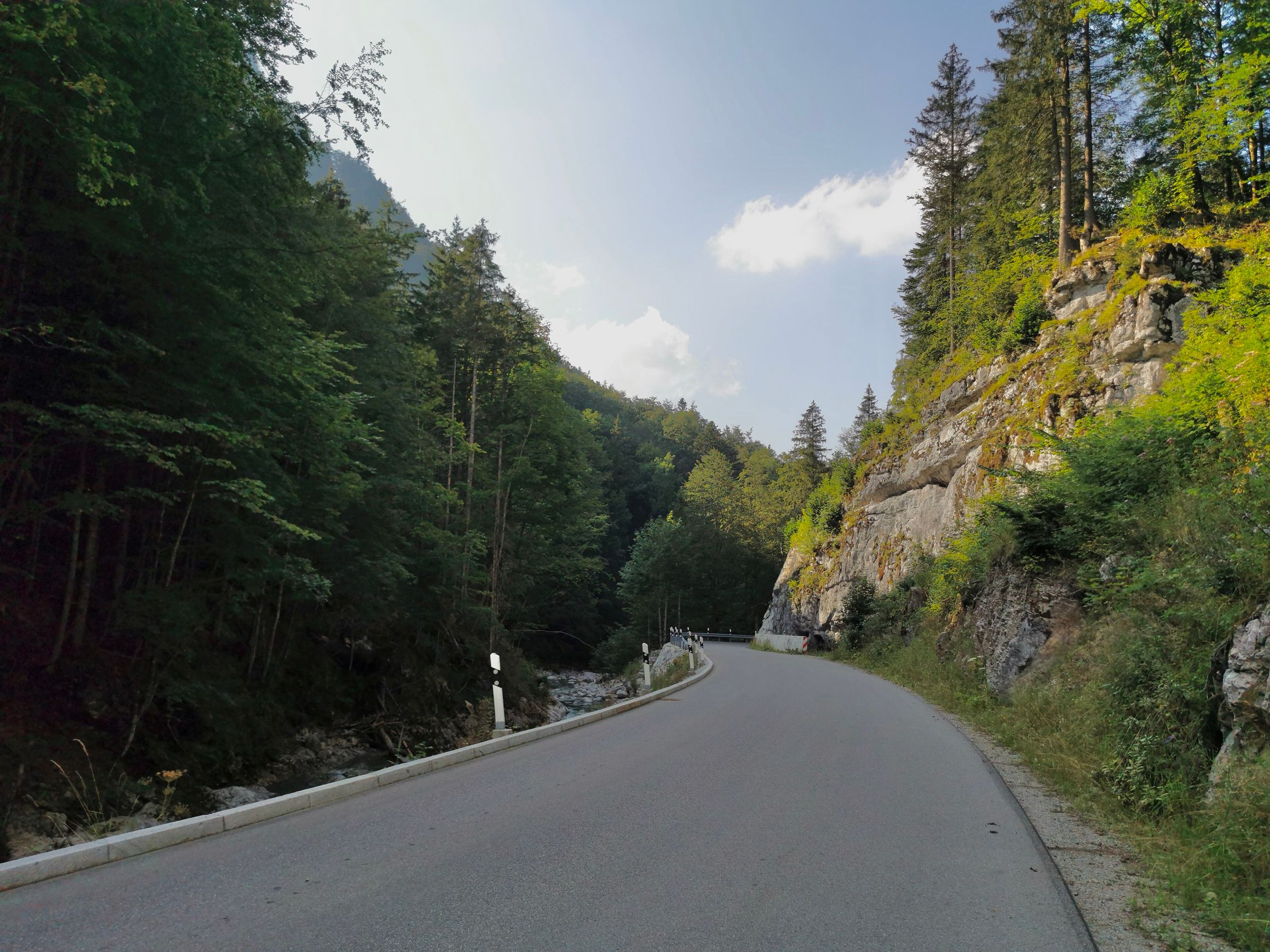 Asphaltstraße in einer Kurve durch eine bewaldete Schlucht, rechts eine Felswand