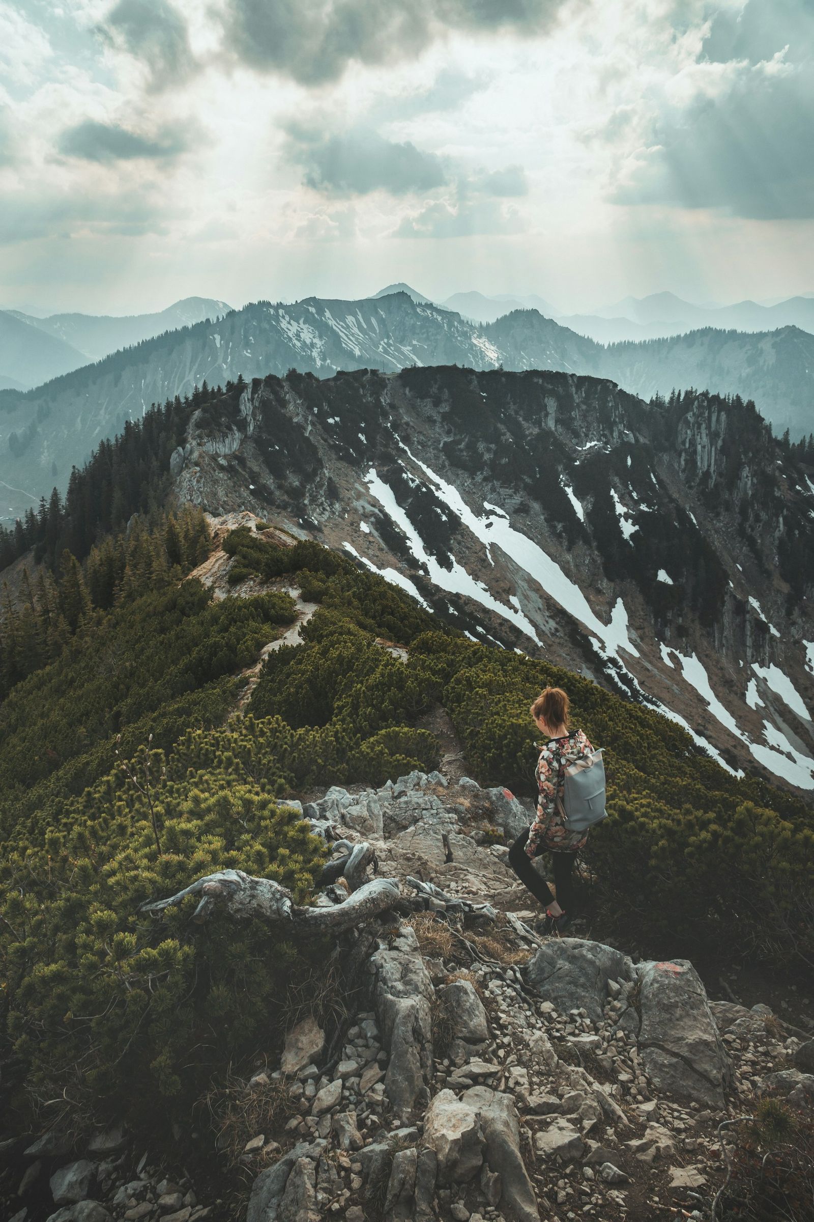 Wanderin mit Rucksack auf einem felsigen Steig zwischen Latschen, gegenüber ein Bergkamm mit Schneeresten, Wolken mit Lichtstrahlen