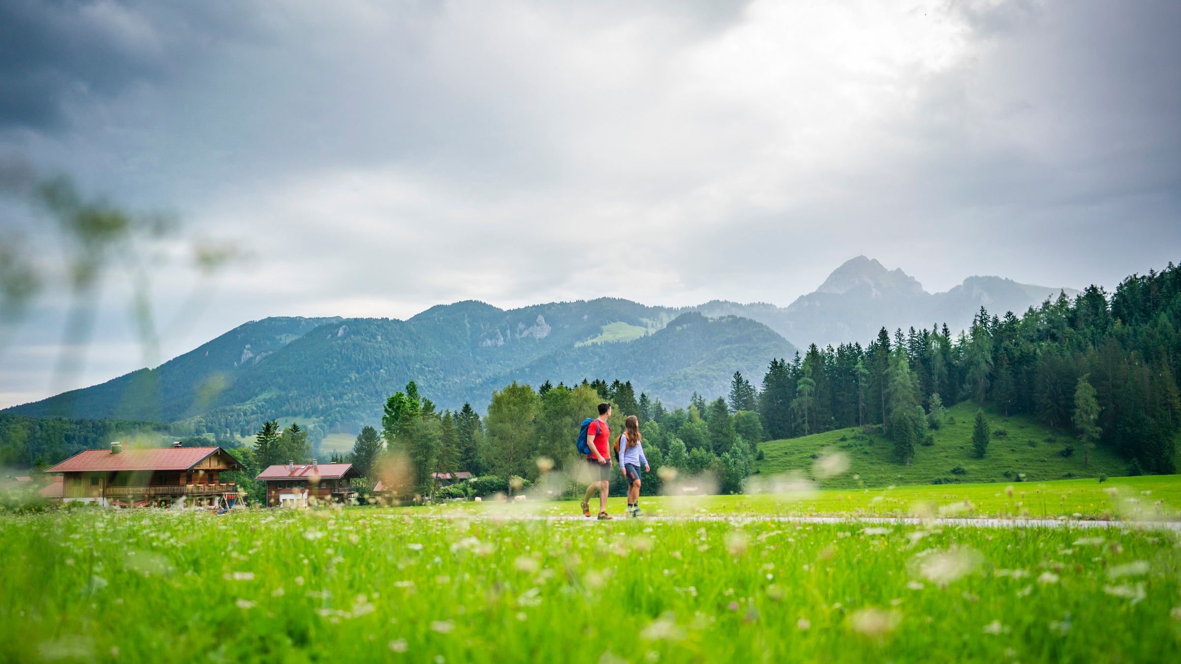 Zwei Wanderer von hinten auf einem Weg durch eine blühende Wiese, links Holzhäuser am Waldrand, dahinter das Wendelstein-Massiv unter Wolken