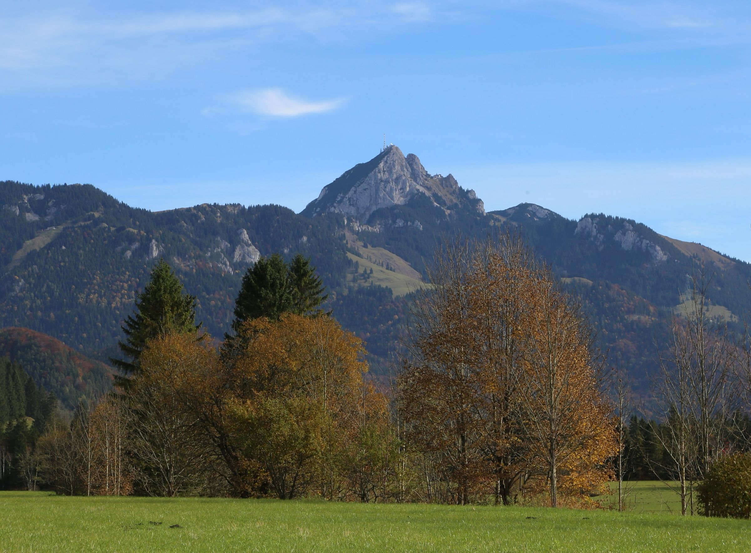 Der spitze Gipfel des Wendelstein über Bäumen in Herbstfarben und einer Wiese