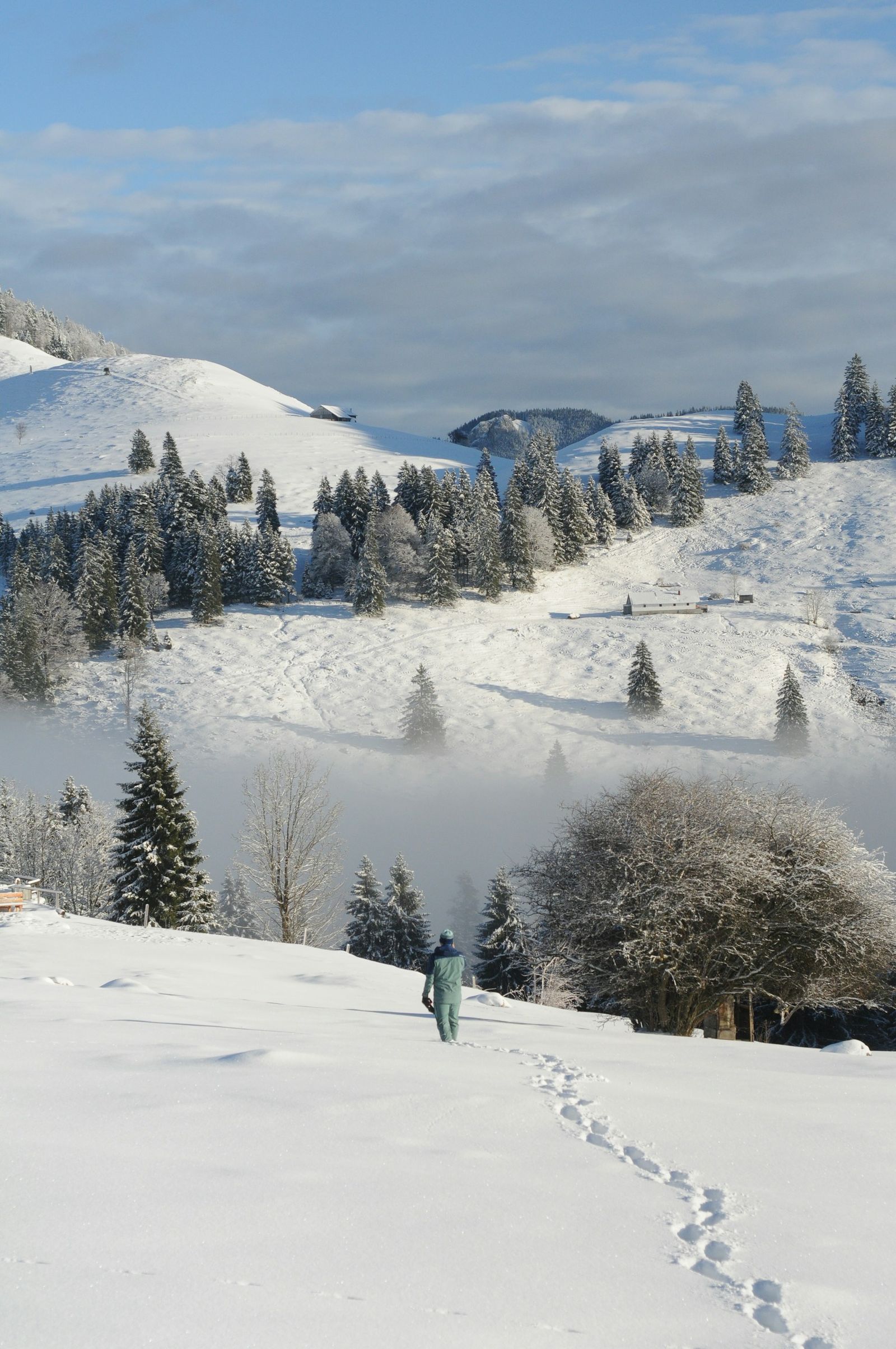 Eine Person stapft von hinten durch tiefen Schnee und hinterlässt Fußspuren, verschneite Hügel und Fichten mit Raureif, Nebel im Tal
