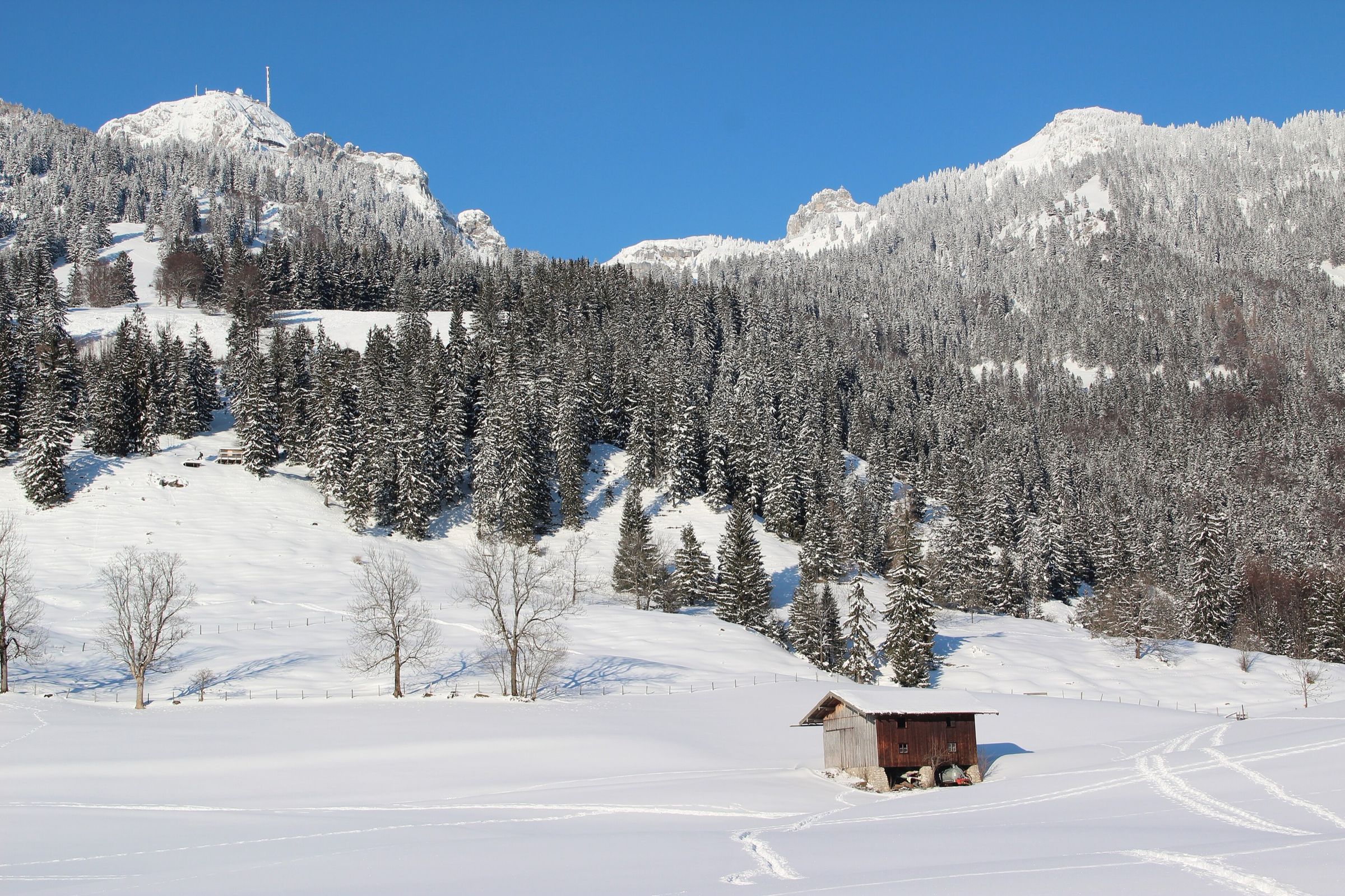Ein Heustadel auf einer verschneiten Wiese, dahinter Fichtenwald und verschneite Berge