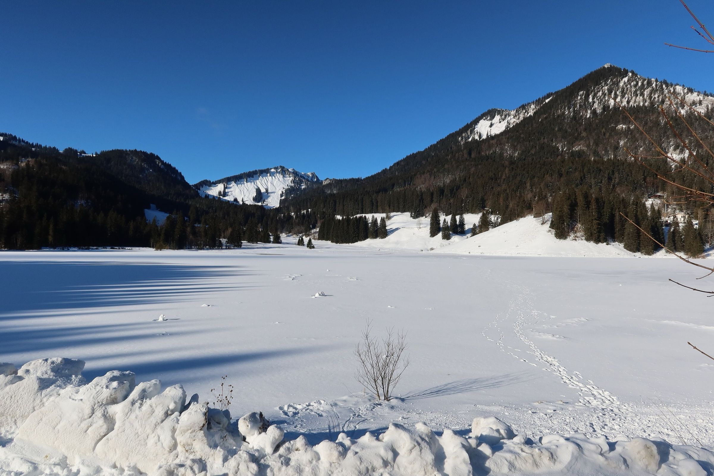 Der zugefrorene, verschneite Spitzingsee, dahinter Wald und ein Berg in der Sonne